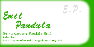 emil pandula business card